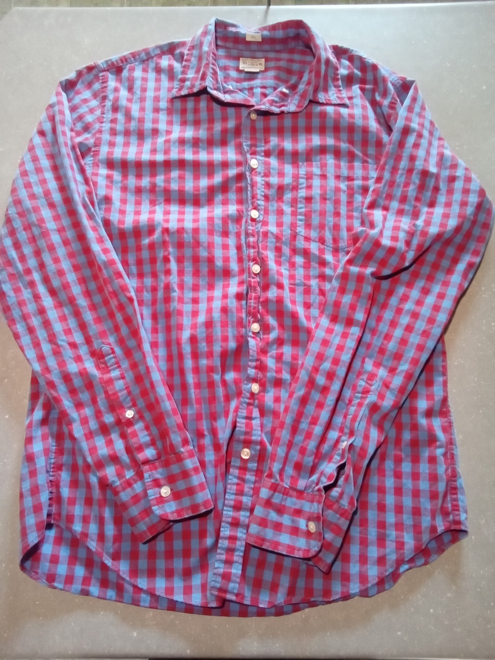 J. Crew Red and Blue Gingham Button-Down Shirt